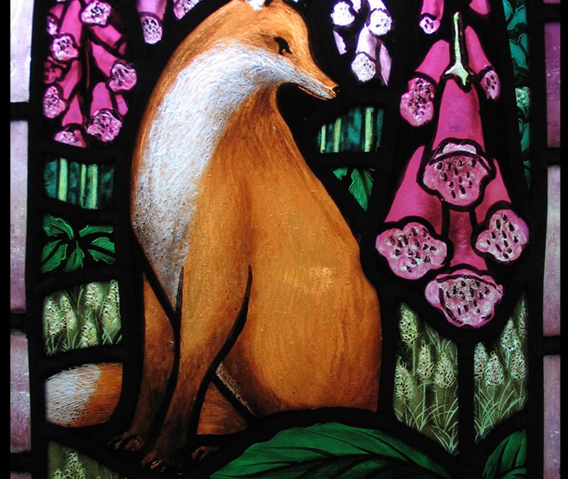 Fox in Foxgloves