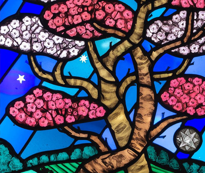 Stars and Blossom 2020