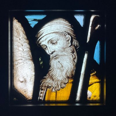 Shepherding